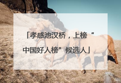孝感池汉桥，上榜“中国好人榜”候选人