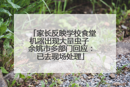 家长反映学校食堂机器出现大量虫子 余姚市多部门回应：已去现场处理