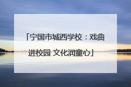 宁国市城西学校：戏曲进校园 文化润童心