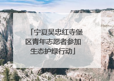 宁夏吴忠红寺堡区青年志愿者参加生态护绿行动