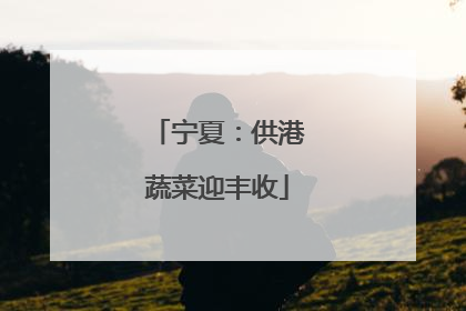 宁夏：供港蔬菜迎丰收