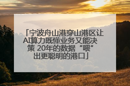 宁波舟山港穿山港区让AI算力既懂业务又能决策 20年的数据“喂”出更聪明的港口