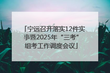 宁远召开落实12件实事暨2025年“三考”组考工作调度会议