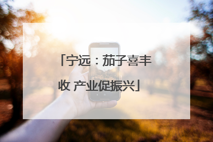 宁远：茄子喜丰收 产业促振兴