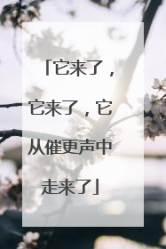 它来了，它来了，它从催更声中走来了