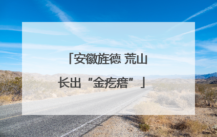 安徽旌德 荒山长出“金疙瘩”