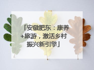 安徽肥东：康养+旅游，激活乡村振兴新引擎