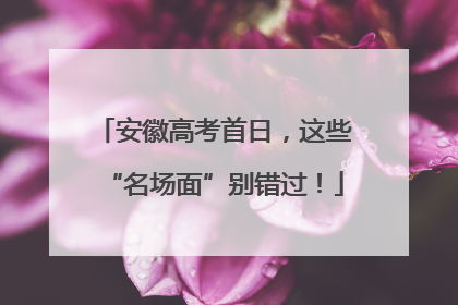 安徽高考首日，这些“名场面”别错过！