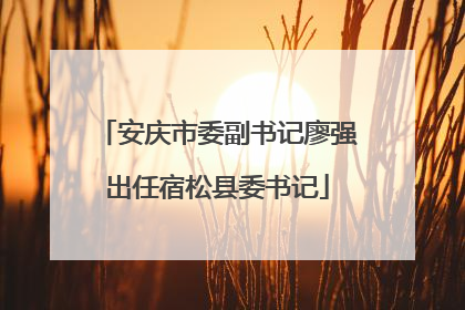 安庆市委副书记廖强出任宿松县委书记