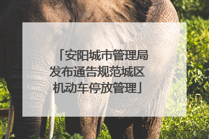 安阳城市管理局发布通告规范城区机动车停放管理