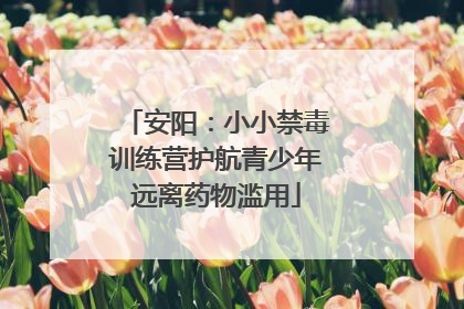 安阳：小小禁毒训练营护航青少年远离药物滥用