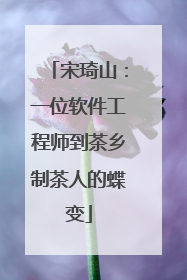 宋琦山：一位软件工程师到茶乡制茶人的蝶变