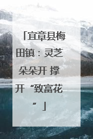 宜章县梅田镇：灵芝朵朵开 撑开“致富花”