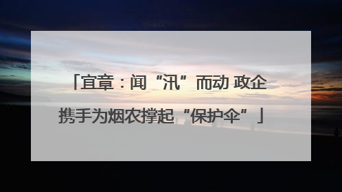 宜章：闻“汛”而动 政企携手为烟农撑起“保护伞”