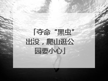 夺命“黑虫”出没，爬山逛公园要小心