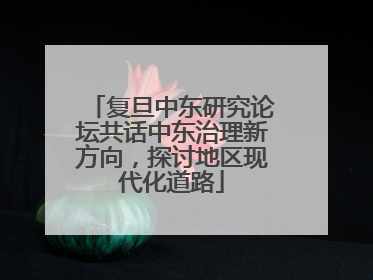复旦中东研究论坛共话中东治理新方向，探讨地区现代化道路