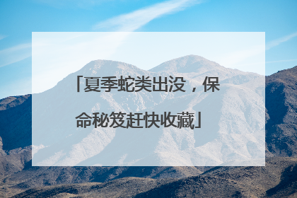 夏季蛇类出没，保命秘笈赶快收藏