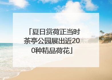 夏日赏荷正当时 茶亭公园展出近200种精品荷花