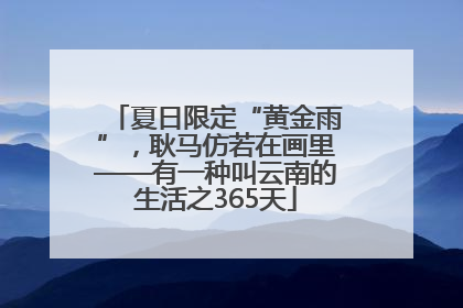 夏日限定“黄金雨”，耿马仿若在画里——有一种叫云南的生活之365天