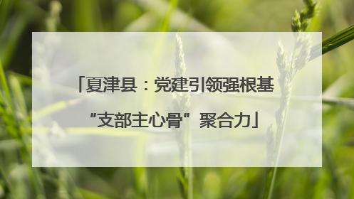 夏津县：党建引领强根基 “支部主心骨”聚合力