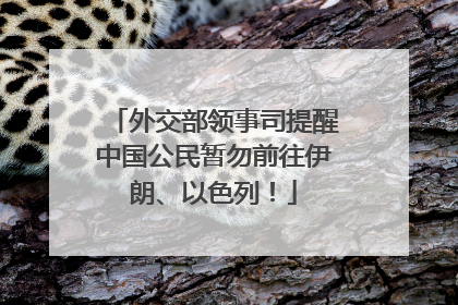 外交部领事司提醒中国公民暂勿前往伊朗、以色列！