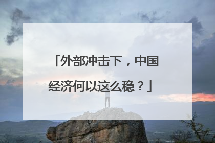 外部冲击下，中国经济何以这么稳？