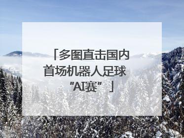 多图直击国内首场机器人足球“AI赛”