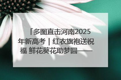 多图直击河南2025年新高考｜红衣旗袍送祝福 鲜花葵花助梦圆——尉氏县高考暖心送考