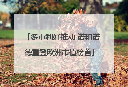 多重利好推动 诺和诺德重登欧洲市值榜首