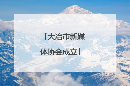 大冶市新媒体协会成立