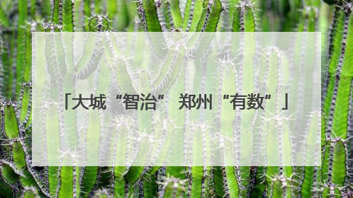 大城“智治” 郑州“有数”