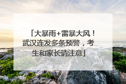 大暴雨+雷暴大风！武汉连发多条预警，考生和家长请注意