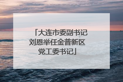 大连市委副书记刘恩举任金普新区党工委书记