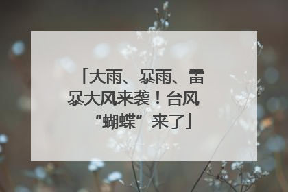 大雨、暴雨、雷暴大风来袭！台风“蝴蝶”来了