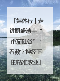媒体行｜走进凯盛浩丰“番茄硅谷”：看数字神经下的精准农业