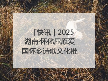 快讯｜2025湖南·怀化屈原爱国怀乡诗歌文化推广季开幕