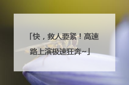 快，救人要紧！高速路上演极速狂奔~