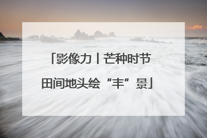 影像力丨芒种时节 田间地头绘“丰”景