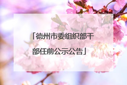 德州市委组织部干部任前公示公告