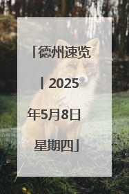 德州速览丨2025年5月8日 星期四