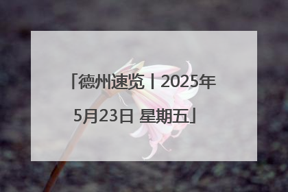 德州速览丨2025年5月23日 星期五