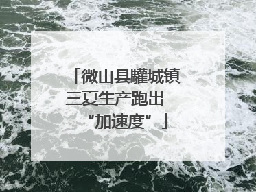 微山县驩城镇三夏生产跑出 “加速度”