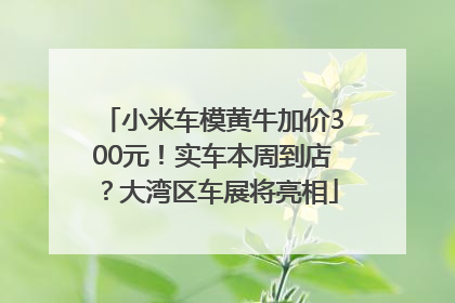 小米车模黄牛加价300元！实车本周到店？大湾区车展将亮相