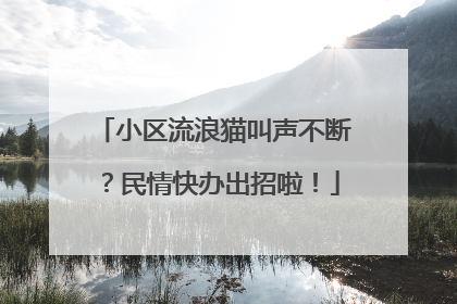 小区流浪猫叫声不断？民情快办出招啦！