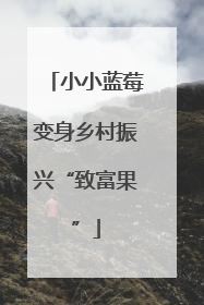 小小蓝莓变身乡村振兴“致富果”