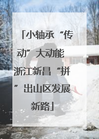 小轴承“传动”大动能 浙江新昌“拼”出山区发展新路