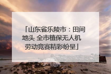 山东省乐陵市：田间地头 全市植保无人机劳动竞赛精彩纷呈