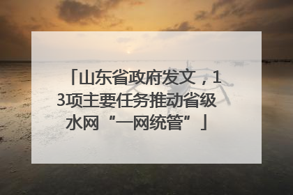 山东省政府发文，13项主要任务推动省级水网“一网统管”