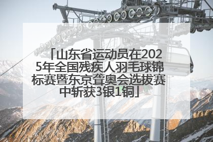 山东省运动员在2025年全国残疾人羽毛球锦标赛暨东京聋奥会选拔赛中斩获3银1铜
