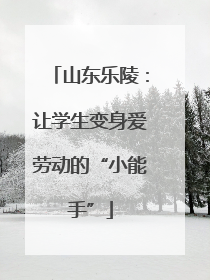山东乐陵：让学生变身爱劳动的“小能手”